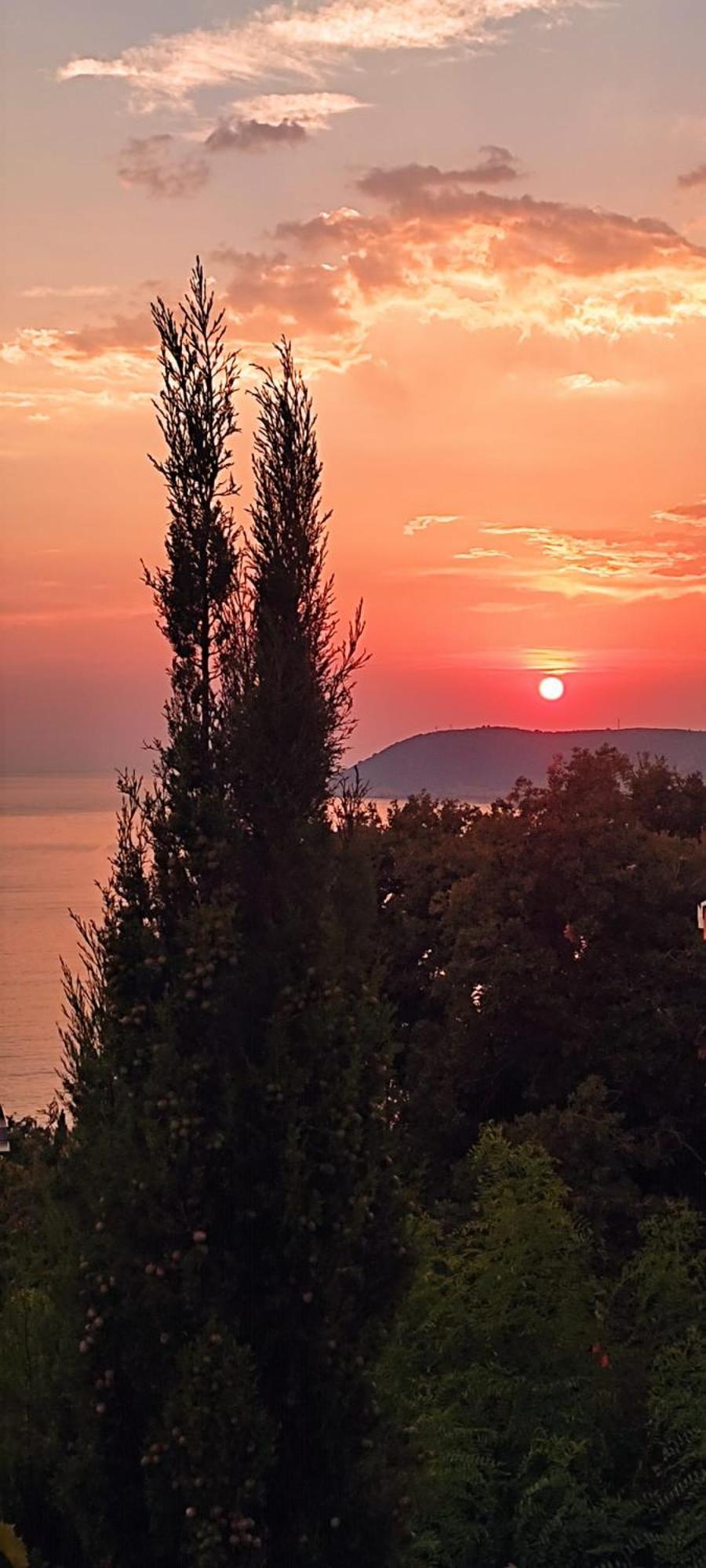 Apartmani Buena Vista بار المظهر الخارجي الصورة